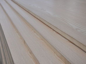 杨芯与木业精英 宝刚木业、伍福春木业的匠心传承